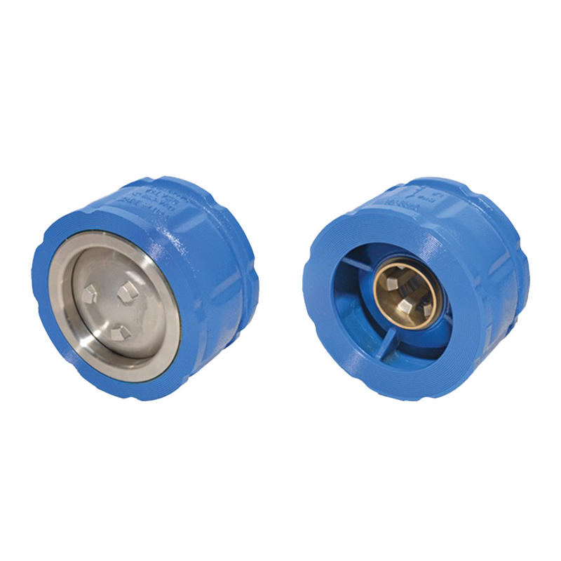 Flomatic Check Valve-888VFD