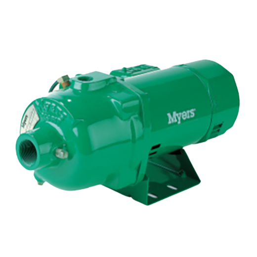 Convertible Jet Pumps Mitchell Lewis & Staver