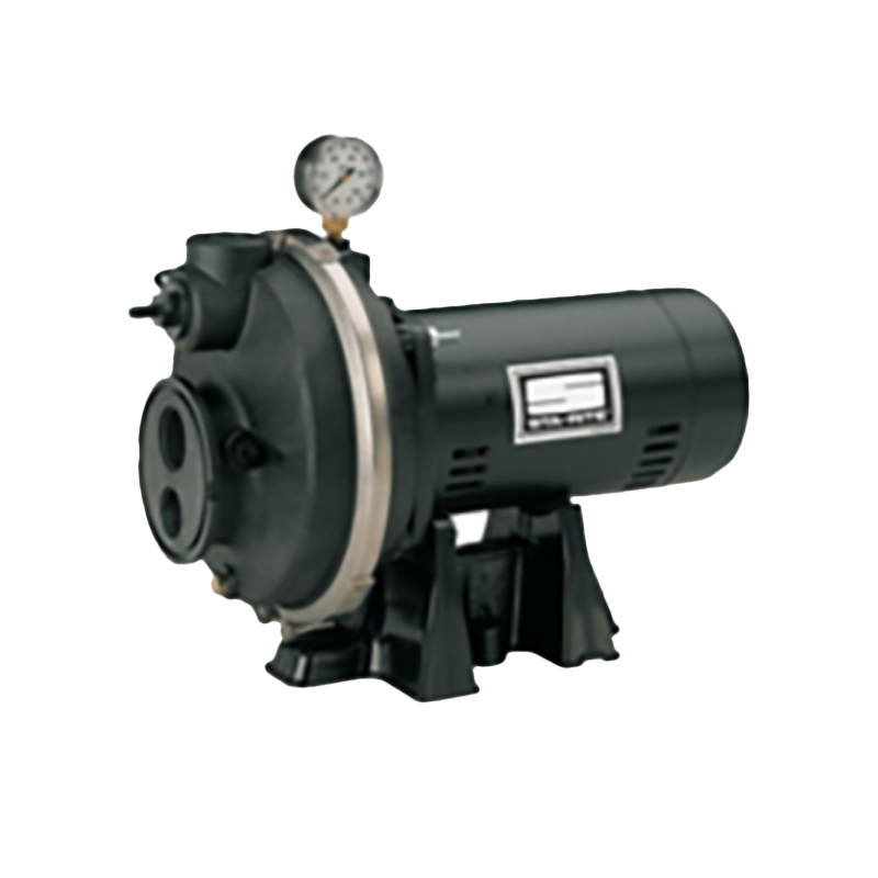 Sta-Rite Deep Well Jet Pump