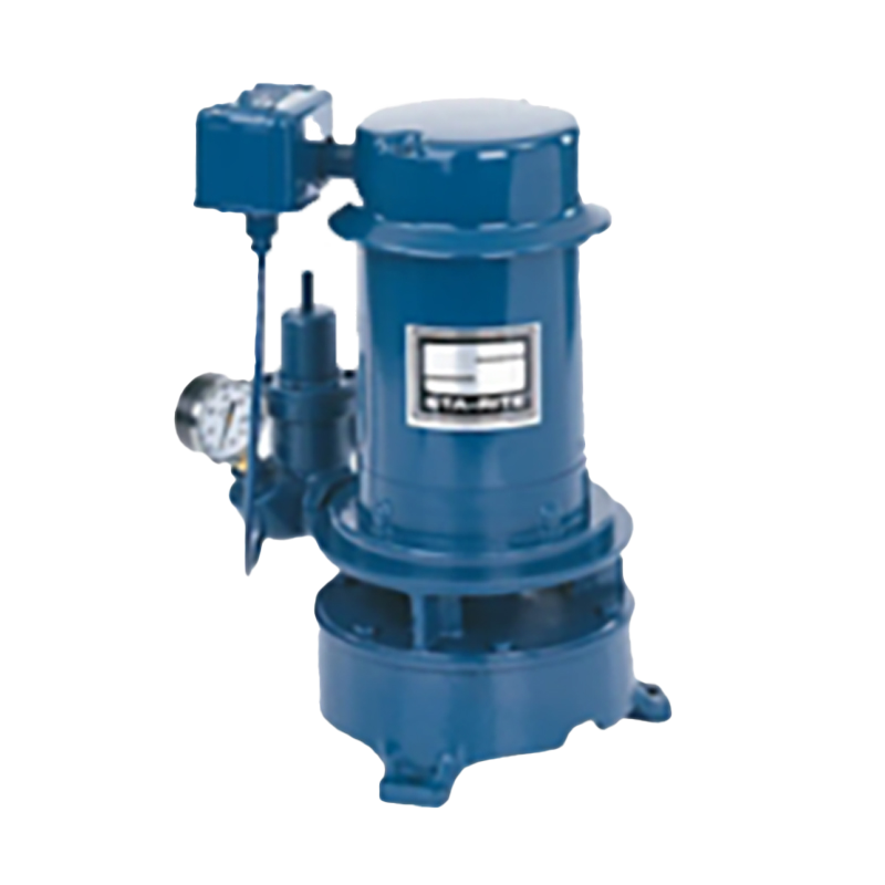 Sta-Rite Deep Well Jet Pump