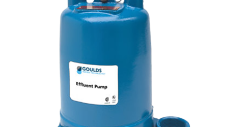 Goulds Effluent Pump